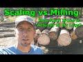 Scaling vs Milling, How Much Wood Is Actually In My Logs?