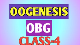 OOGENESIS CLASS-4 OBG.  #we for you