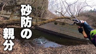 砂防のイワナの魚群からデケェのを釣る [渓流ルアー]