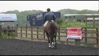 Flatwork for show jumping youngsters with Ernest Dillon TRAILER