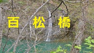 【北海道観光】エゾサンショウウオもいる「百松橋」へ行きました　♪