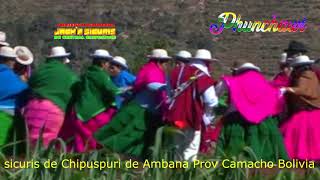 originales sicuris de central Chipuspuri de Ambana Prov Camacho Bolivia