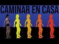 CAMINAR EN CASA – 15 MINUTOS | EJERCICIOS PARA PRINCIPIANTES