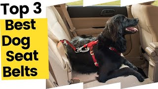 Best Dog Seat Belts For Cars in 2023