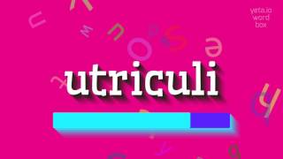 ಯುಟ್ರಿಕ್ಯುಲಿಯನ್ನು ಹೇಗೆ ಉಚ್ಚರಿಸುವುದು?  #ಯುಟ್ರಿಕ್ಯುಲಿ (HOW TO PRONOUNCE UTRICULI? #utri