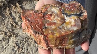 Wyoming Stone Ranger Jasper Crystal Forest Petrified Forest National Park Arizona Dang!