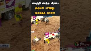 வெற்றி பெற்ற வீரன்..திரும்பி பார்த்து முறைத்த காளை #shorts |  | #madurai | #jallikattu2025