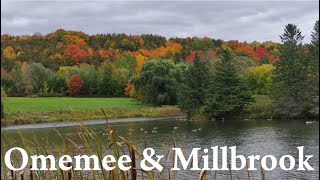 Omemee \u0026 Millbrook, Ontario (Tour \u0026 History) Canada