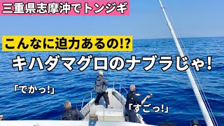 【トンボマグロジギング】志摩沖でキハダマグロのナブラ！！