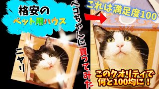 【100均】セリアでペット用ハウスを購入！猫ちゃんの反応と満足度は…#ねこ　#保護猫　#ハチワレ猫　#猫ハウス　#猫動画　#セリア