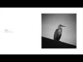 Koshun Nakao - Signal (Official Audio)