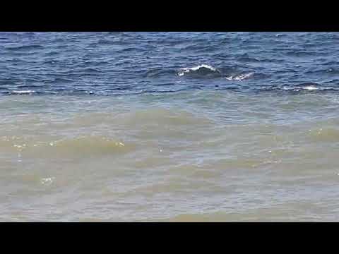 Is the source or mouth of the Mississippi River in the Gulf of Mexico?
