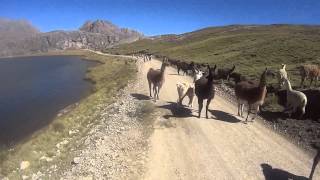 Impresionante ruta Casapalca - Marcapomacocha - Canta - Lima, full pedal con los Locos Madrugones