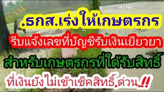 เยียวยาเกษตรกร5,000#.ธกส.เร่งให้เกษตรกรแจ้งเลขบัญชีรับเงิน#กลุ่มใด้รับสิทธิ์แต่บัญชีไม่ถูกต้อง#