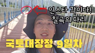 국토대장정 🇰🇷 9일차! 여우 닮은 개? 인스타 각이다! 칠곡의 다리!