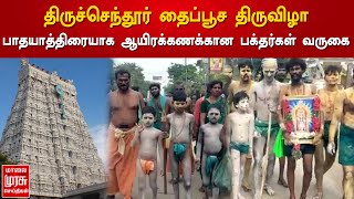 திருச்செந்தூர் தைப்பூச திருவிழா : பாதயாத்திரையாக ஆயிரக்கணக்கான பக்தர்கள் வருகை