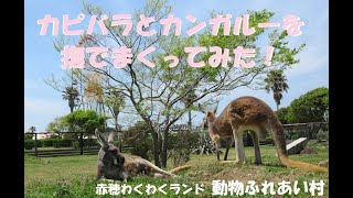 カピバラとカンガルーを撫でまくってみた！