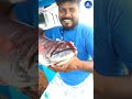 how to find male female crab ஆண் நண்டு எது பெண் நண்டு எதுனு எப்படி கண்டுபிடிக்கிறது