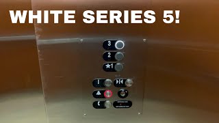 WHITE BUTTONS! Otis Hydraulic Elevator | Baymont by Wyndham | East Indianapolis, IN