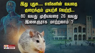 இது புதுசு.... எலிகளின் வயதை குறைக்கும் முயற்சி வெற்றி. 80 வயது முதியவரை 26 வயது இளைஞராக மாற்றலாம்?