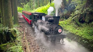 【Alishan Forest Railway】SL31 Train on The Mianyue Line, Vol. 2｜眠月線蒸汽列車