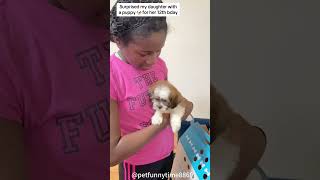 Give your kids puppy surprise!!!😭😭😭#funny #funnyanimals #dog #funnydog #gift