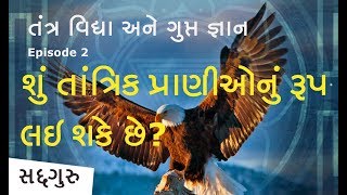 શું તાંત્રિક પ્રાણીઓના શરીરમાં પ્રવેશ કરી શકે છે? | તંત્ર વિદ્યા અને ગુપ્ત જ્ઞાન Ep 2