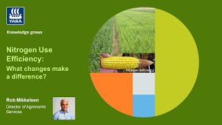 Nitrogen Use Efficiency - What changes make a difference?