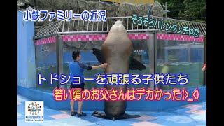 【トド】子供たちにバトンタッチ！（伊勢シーパラダイス／水族館）