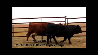 2017 Bull Pasture Tour