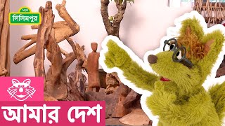 Sisimpur | বন্ধু প্রিয়ভাষিণীর শিল্পকর্ম – Friend Priyobhashini’s Artwork | আমার দেশ | My Country