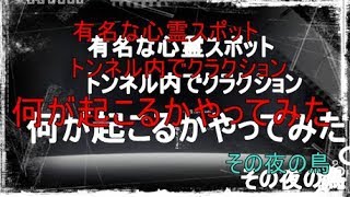 心霊スポットでクラクションを鳴らしたら  その夜の鳥　２０４夜