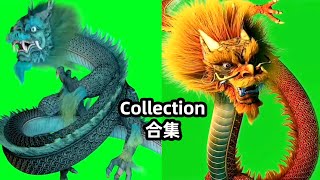 Dragon green screen green screen Dragon material collection (with sound effect) 綠屏龍素材，中國龍綠屏素材合集（帶音效）