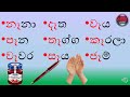 පිල්ලම් නිවැරදිව හඳුනාගනිමු. ව්‍යාකරණ පාඩම් සරලව 3 4 5 ශ්‍රේණි.5 ශ්‍රේණිය ශිෂ්‍යත්වය.