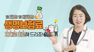 왜 내 보험료만 비싼걸까?💰🧐싸게 해드릴 수 있습니다. #미국생명보험