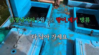 남창낚시터 9월 3일 향어,메기 방류