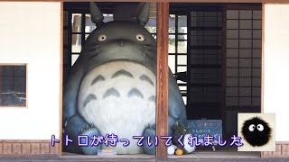 トトロの森　まっくろ「クロスケの家」に行ってトトロと会ってきたよ。TOTORO