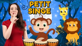 Petit Singe - Comptine pour enfant