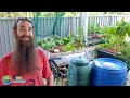 give the gift of aquaponics with rob s guide🐟🍅🥬🥦🎁