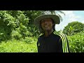 raising goats in jamaica