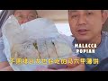 这家不用排队的马六甲薄饼也那么好吃 / This Malacca Popiah So Delicious and Without Queuing