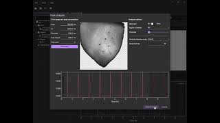 Create multiple activation maps at once using data analysis software BV Workbench