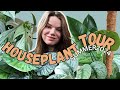 HOUSEPLANT TOUR Summer 2024 | My Indoor Plant Collection