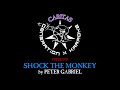 Peter Gabriel - Shock the Monkey - Karaoke w. Lyrics - Caritas Gen-X Karaoke