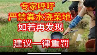 专家呼吁：严禁粪水浇菜地，如若再发现，建议一律重罚