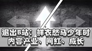 【退出B站】《鲜衣怒马少年时》——关于网红、内容产业风口、我的成长