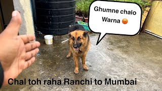 Ranchi to Mumbai with German Shepherd Day 1 Stone beded river