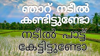 ഞാറ് നടീൽ പുതിയ തലമുറ കാണുക തന്നെ വേണം  / Njaru Nadeel Puthiya thalamura kanukathanne venam