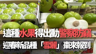 這種水果得出動警察防竊 迎春新品種「雪麗」棗來報到【央廣新聞】