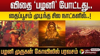 விதை ‘பழனி’ போட்டது..☀️தைப்பூசம் முடிந்த சில நாட்களில்..!பழனி முருகன் கோவிலில் பரவசம் PT Madurai